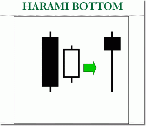 Harami Bottom 